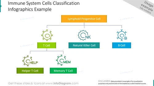 Immune system cells classification example