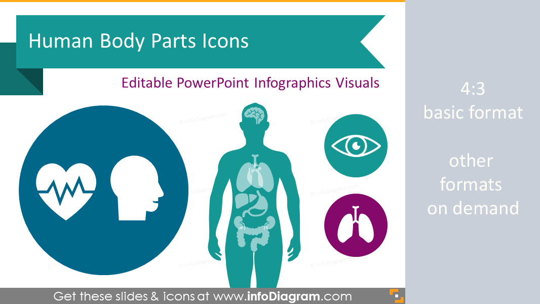 Human Body Parts Organs Infographics (PPT Icons)