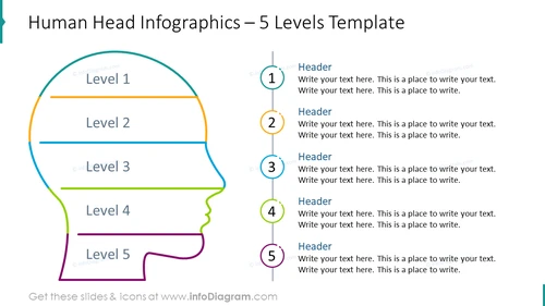 Head outline infographics for five levels template