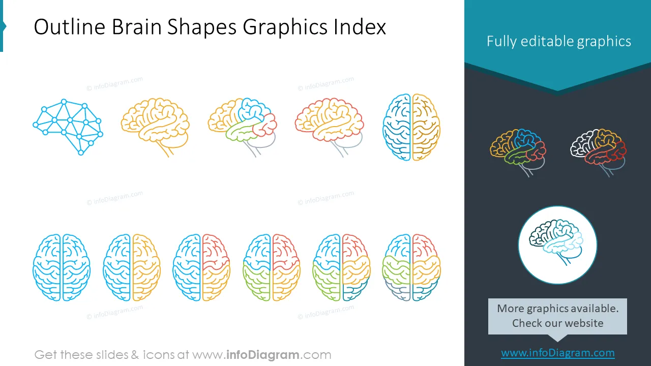 Outline Brain Shapes Graphics Index