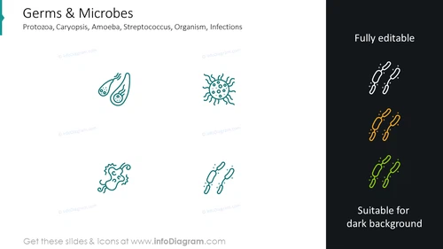 Germs and microbes icons: protozoa, caryopsis, amoeba