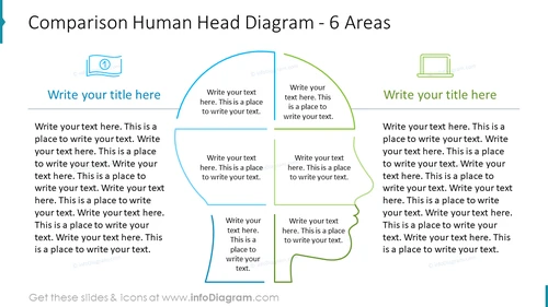Comparison Human Head Diagram - 6 Areas