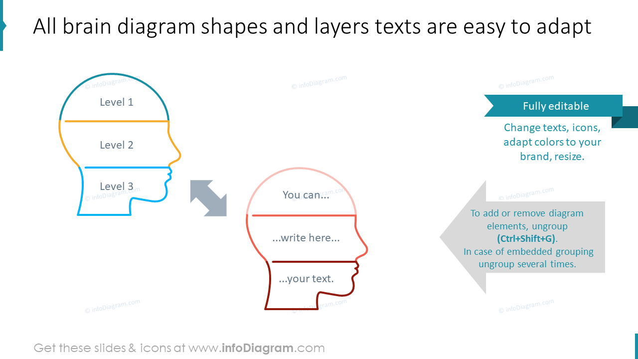 All brain diagram shapes and layers texts are easy to adapt