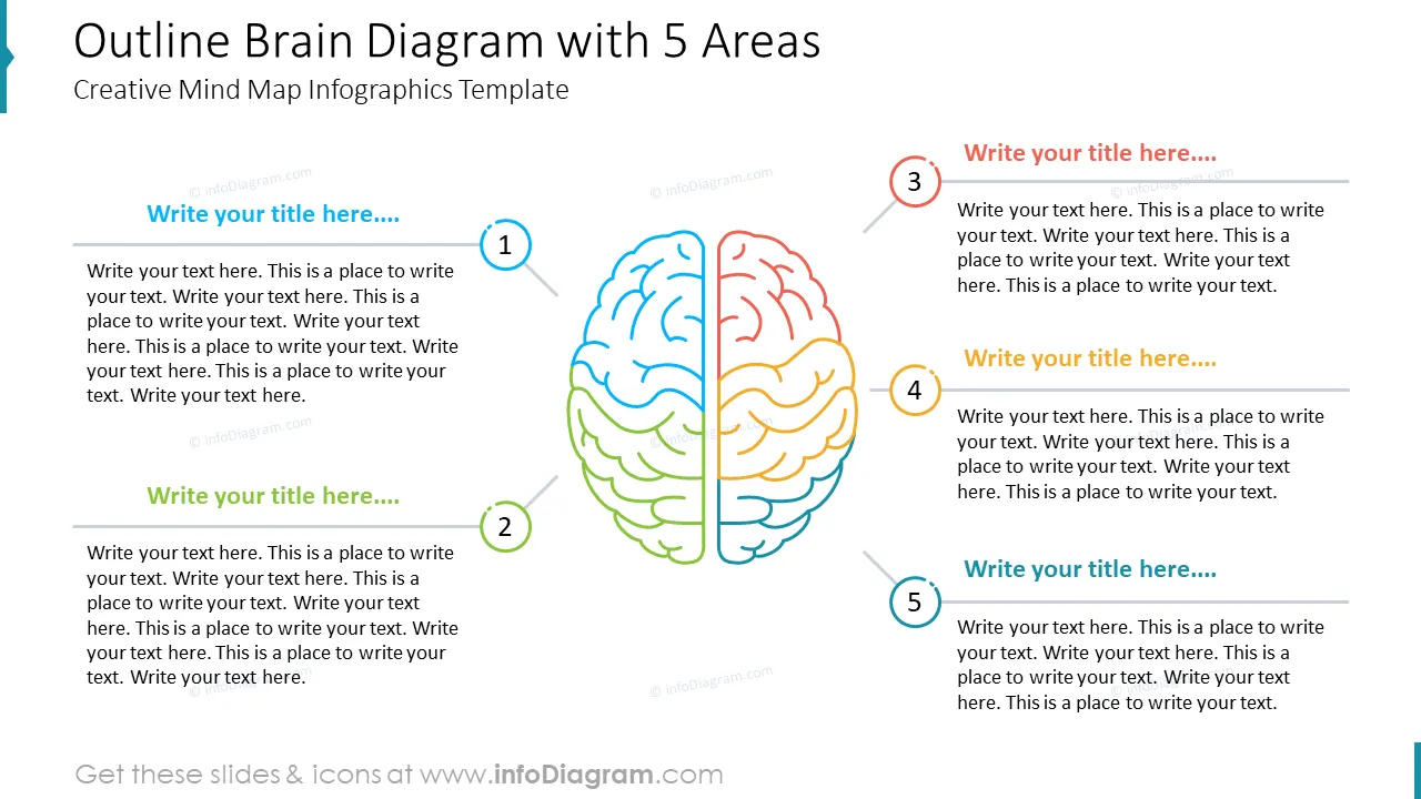 Outline Brain Diagram with 5 Areas