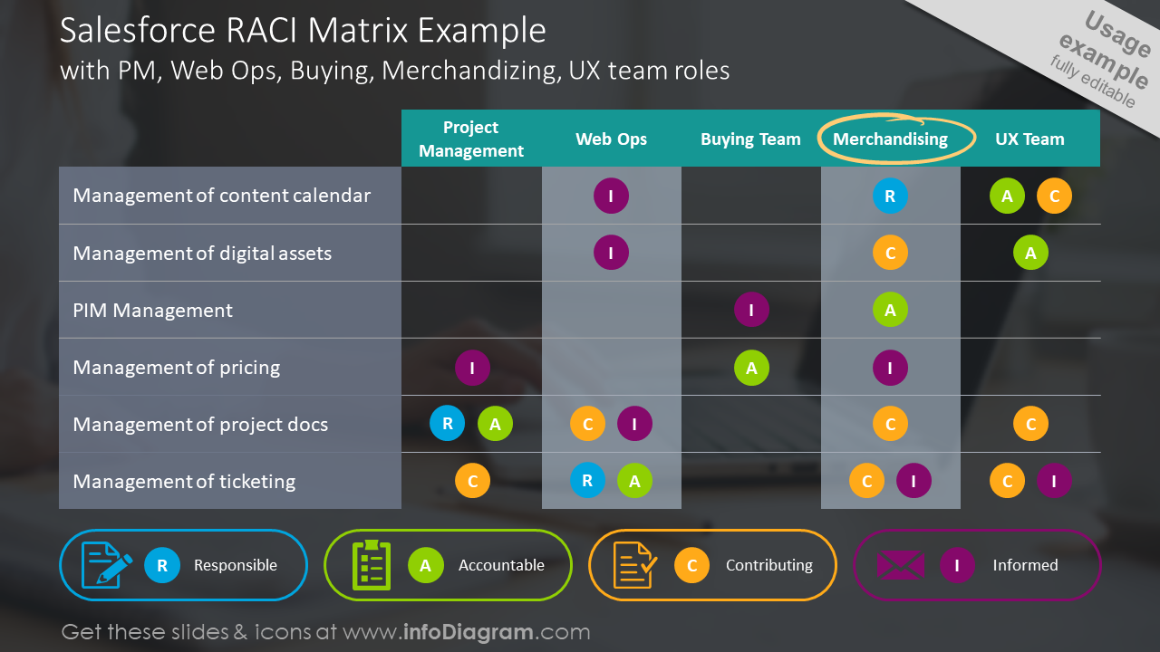 Salesforce RACI matrix example slide
