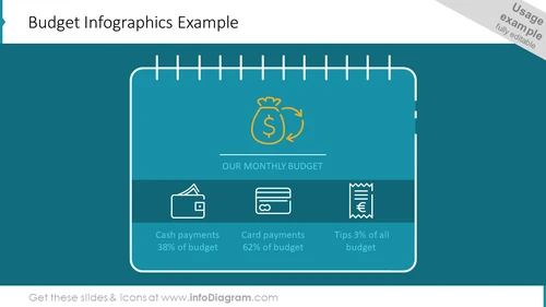 Budget Infographics Example