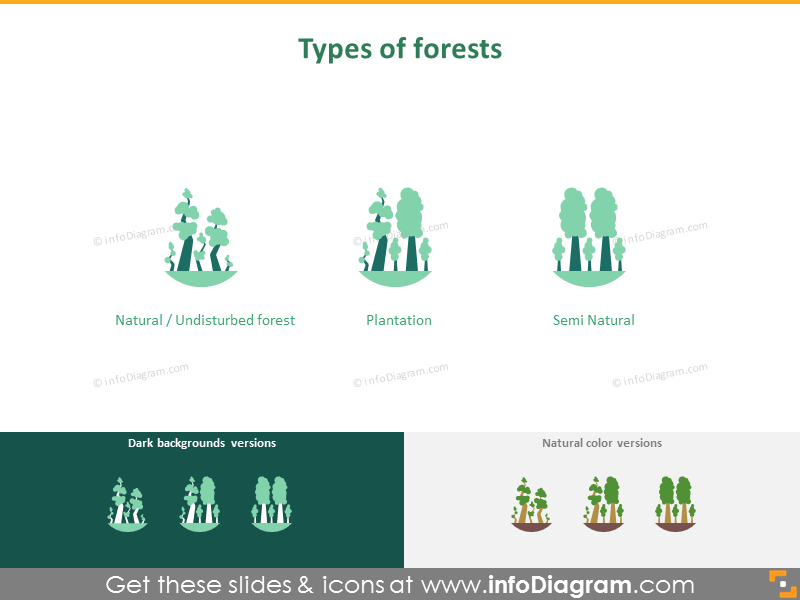 Types of forests