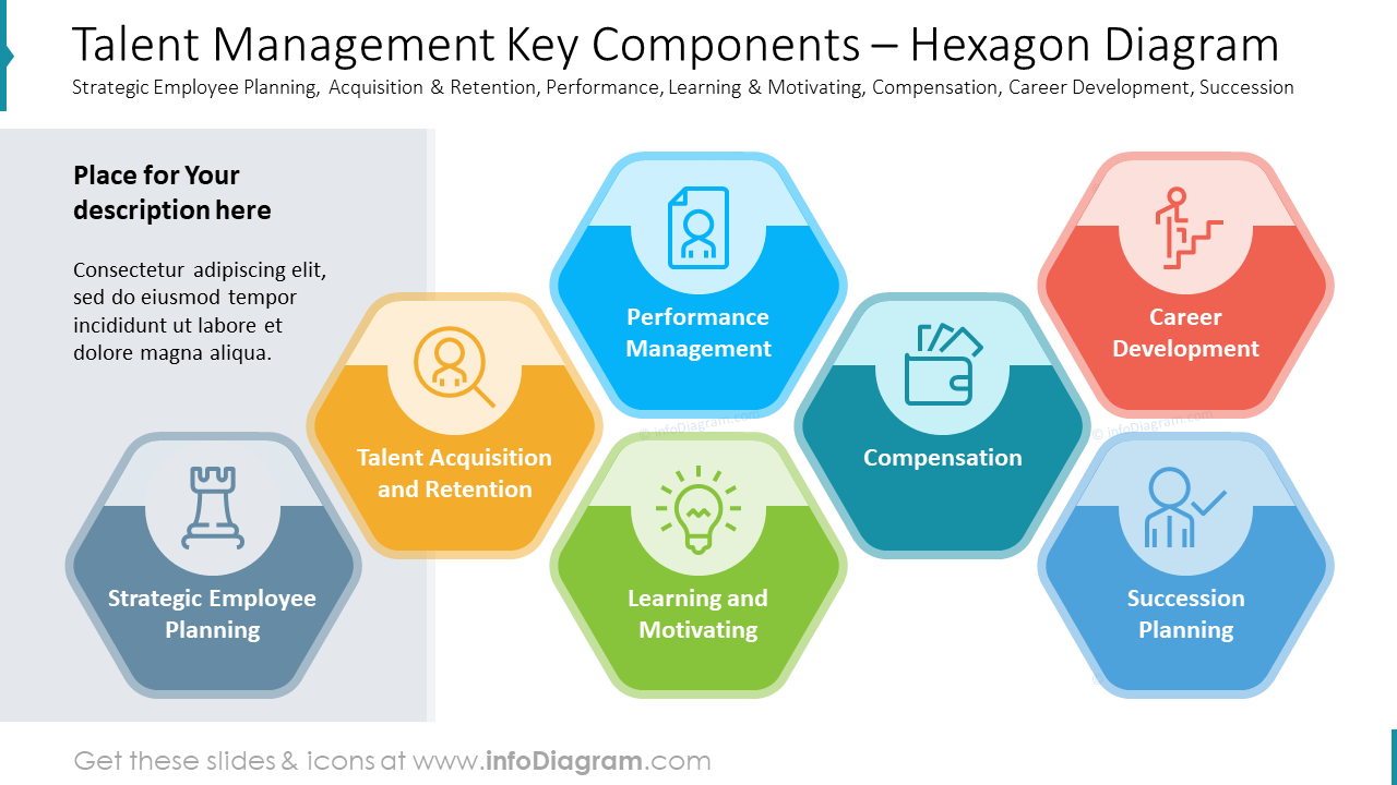 Talent Management Key Components – Hexagon Diagram