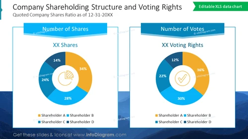 Company Shareholding Structure and Voting Rights