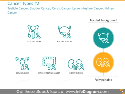 Testicle cancer, bladder cancer, cervix cancer, kidney cancer
