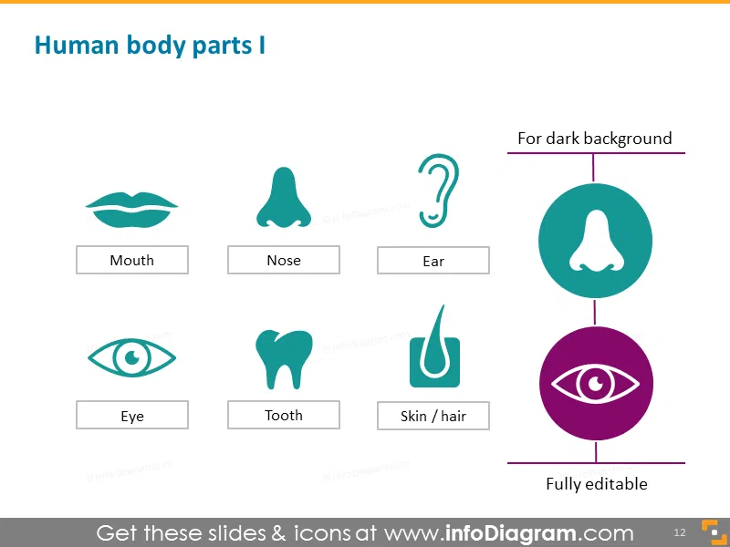 Human Body Face Organs