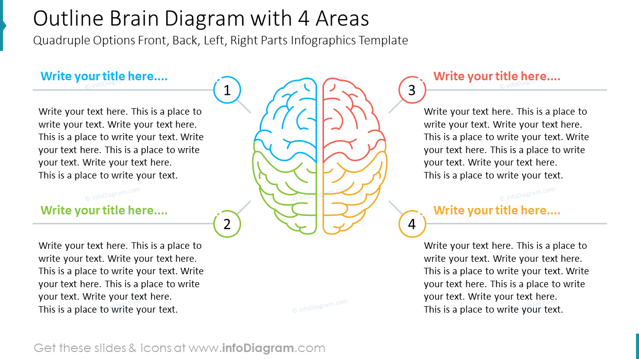 Outline Brain Diagram with 4 Areas