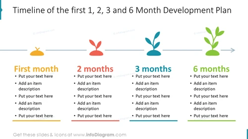Timeline of the first 1, 2, 3 and 6 Month Development Plan