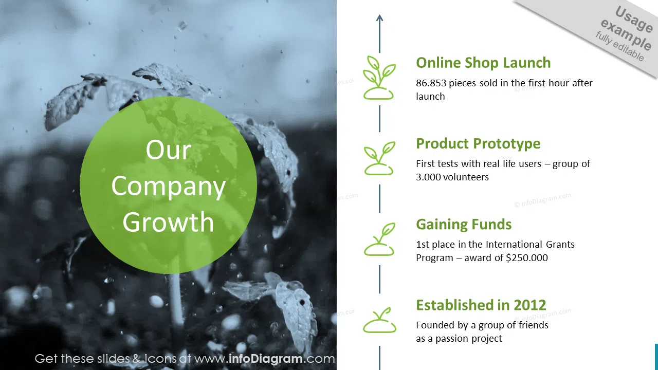 Vertical Company Growth History Timeline – 4 Stages with Establishment, Funds, Prototype and Launch