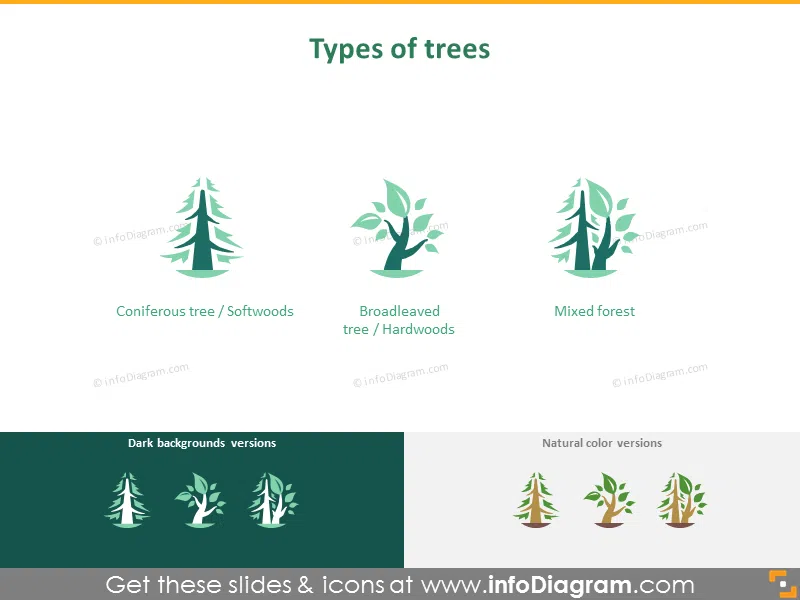 Types of trees