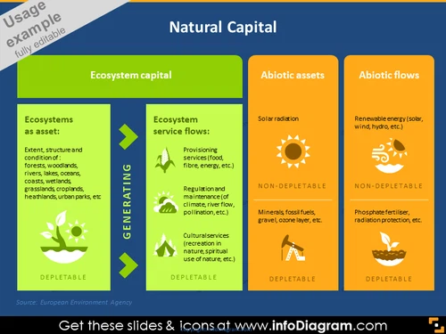 Natural Capital Graphic