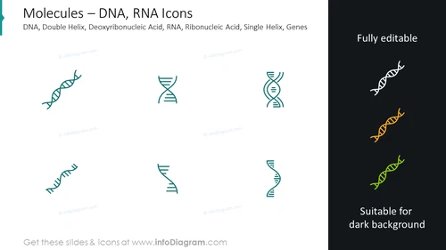 Molecules icons: DNA, RNA, double helix