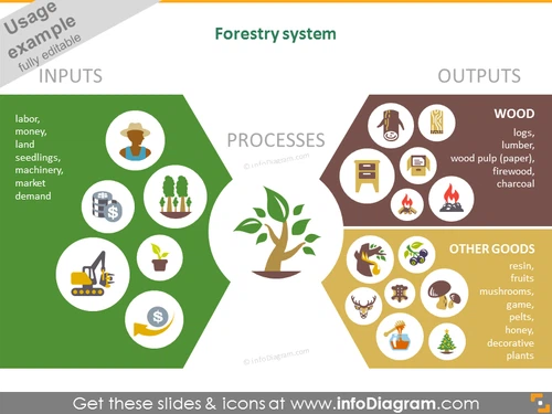Forestry systems infographic