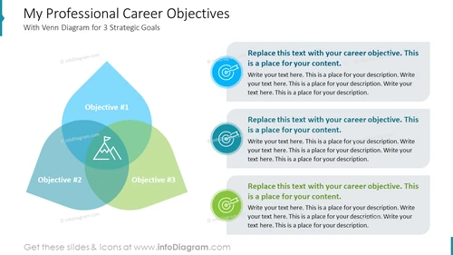 My Professional Career Objectives