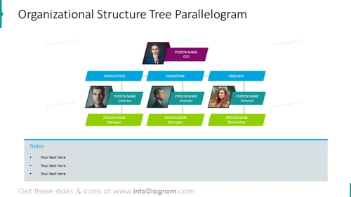 Company Structure Diagram PPT Slide