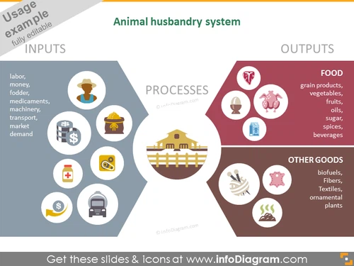 Animal husbandry system