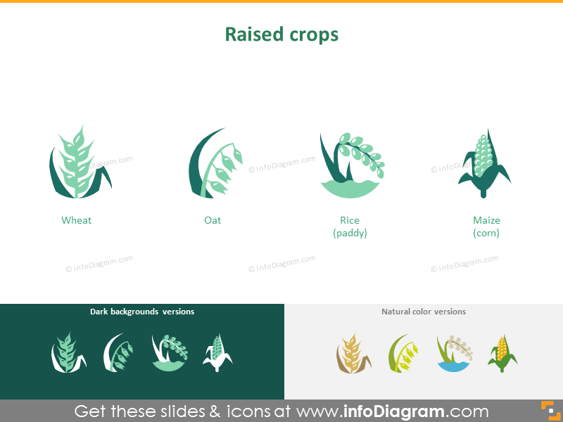 Crop cultivation: raised crops