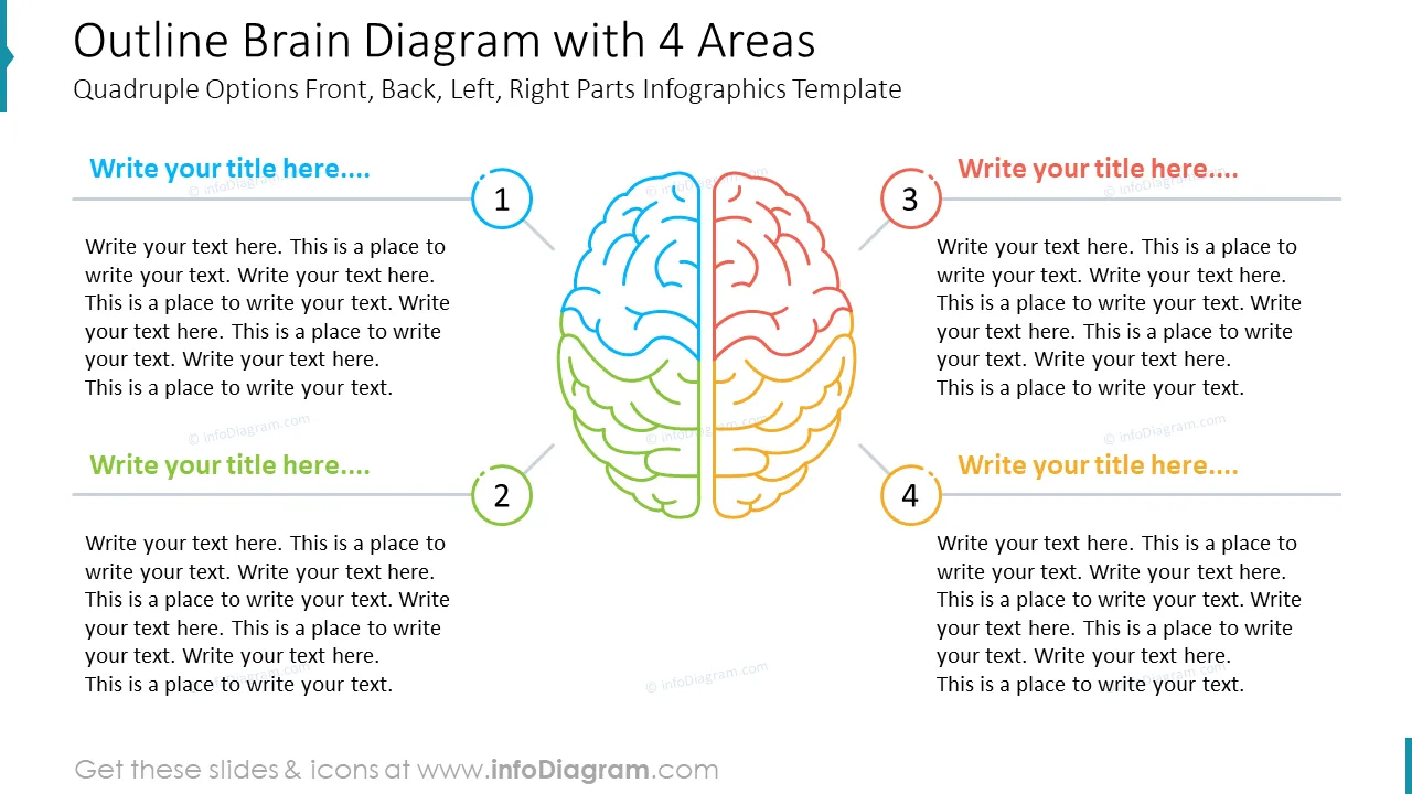 Outline Brain Diagram with 4 Areas