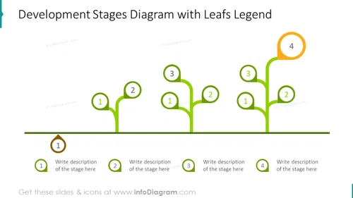 Development stages diagram illustrated with leaves legend