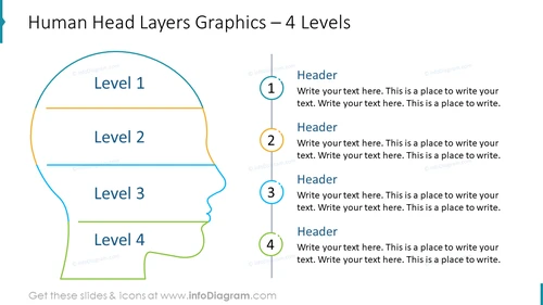 Human Head Layers Graphics – 4 Levels