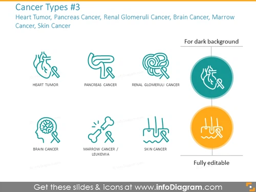 Heart Tumor, Pancreas Cancer, Renal Glomeruli Cancer, Brain Cancer
