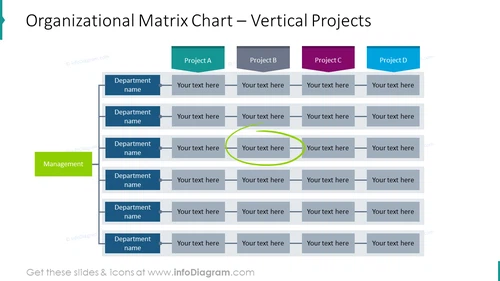Organizational matrix chart: vertical projects