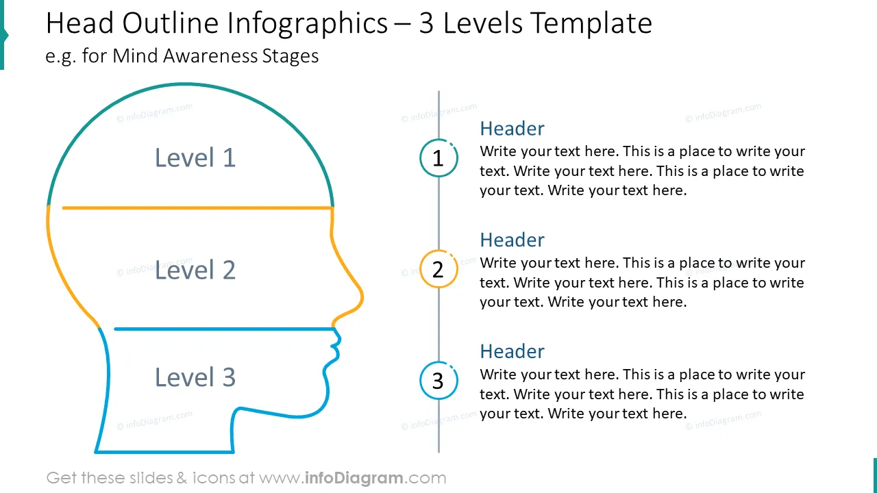 Head outline infographics for three levels template