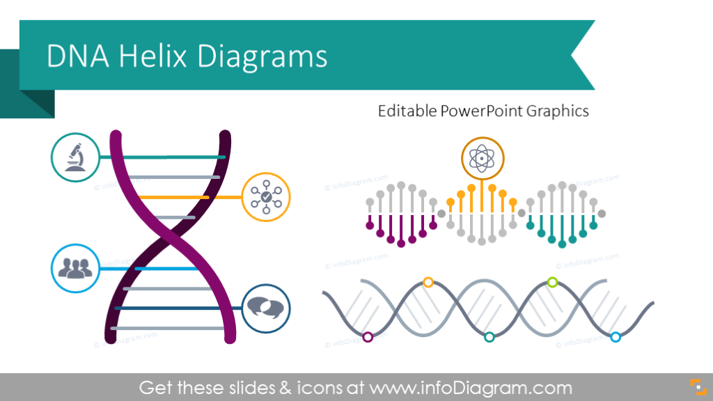 Company DNA Helix Diagrams (PPT Template)