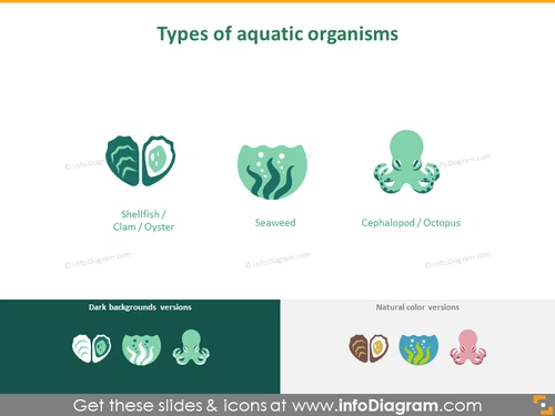 Types of aquatic organism