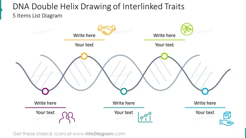 DNA double helix drawing of interlinked traits for five items 