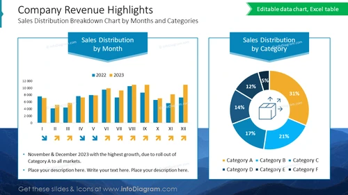 Company Revenue Highlights