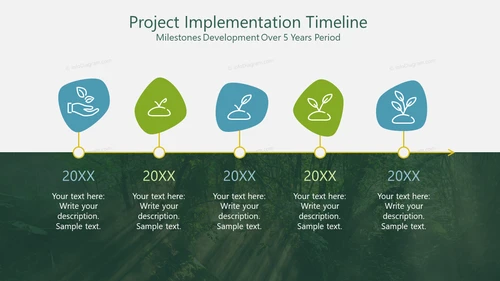Project Implementation Timeline Milestones Development Over 5 Years Period