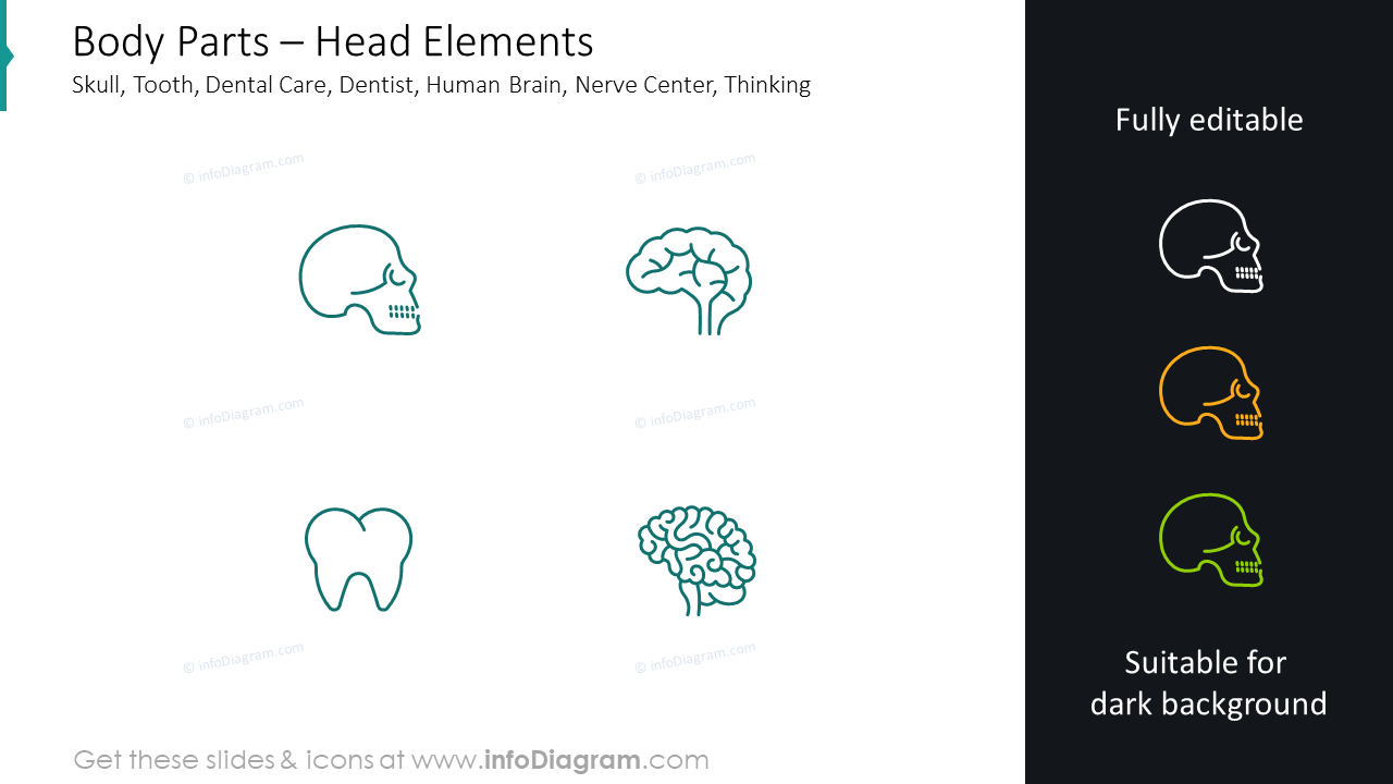 Head elements slide: skull, tooth, dental care, dentist