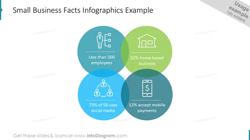 Small Business Facts Infographics Example