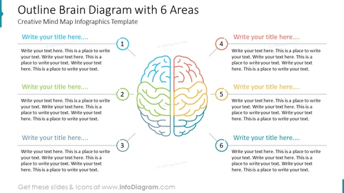 Outline Brain Diagram with 6 Areas