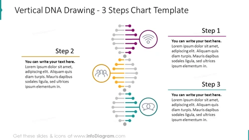 Vertical DNA 3 Steps Template - infoDiagram