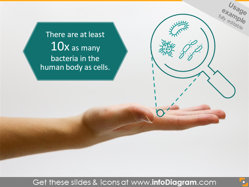 Bacteria facts infographics slide