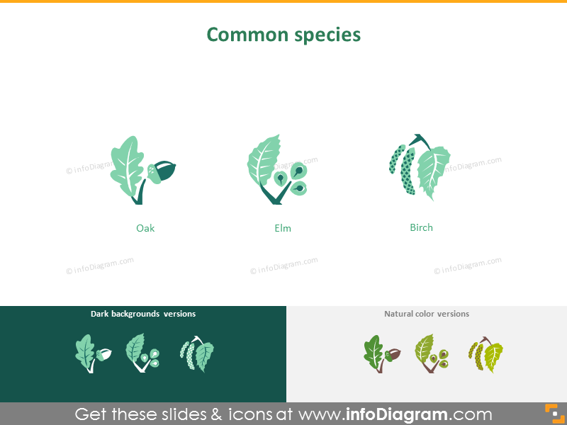 Forestry: common species