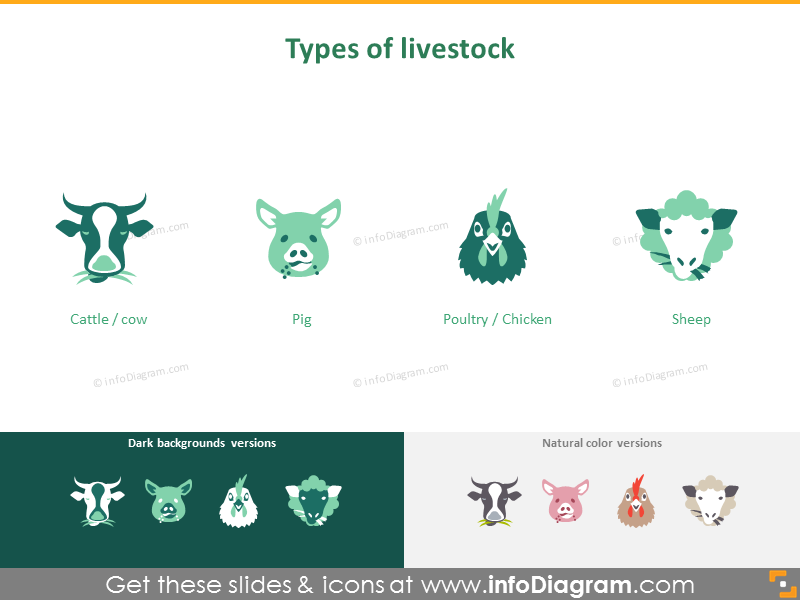 Animal husbandry and fishery: types of livestock