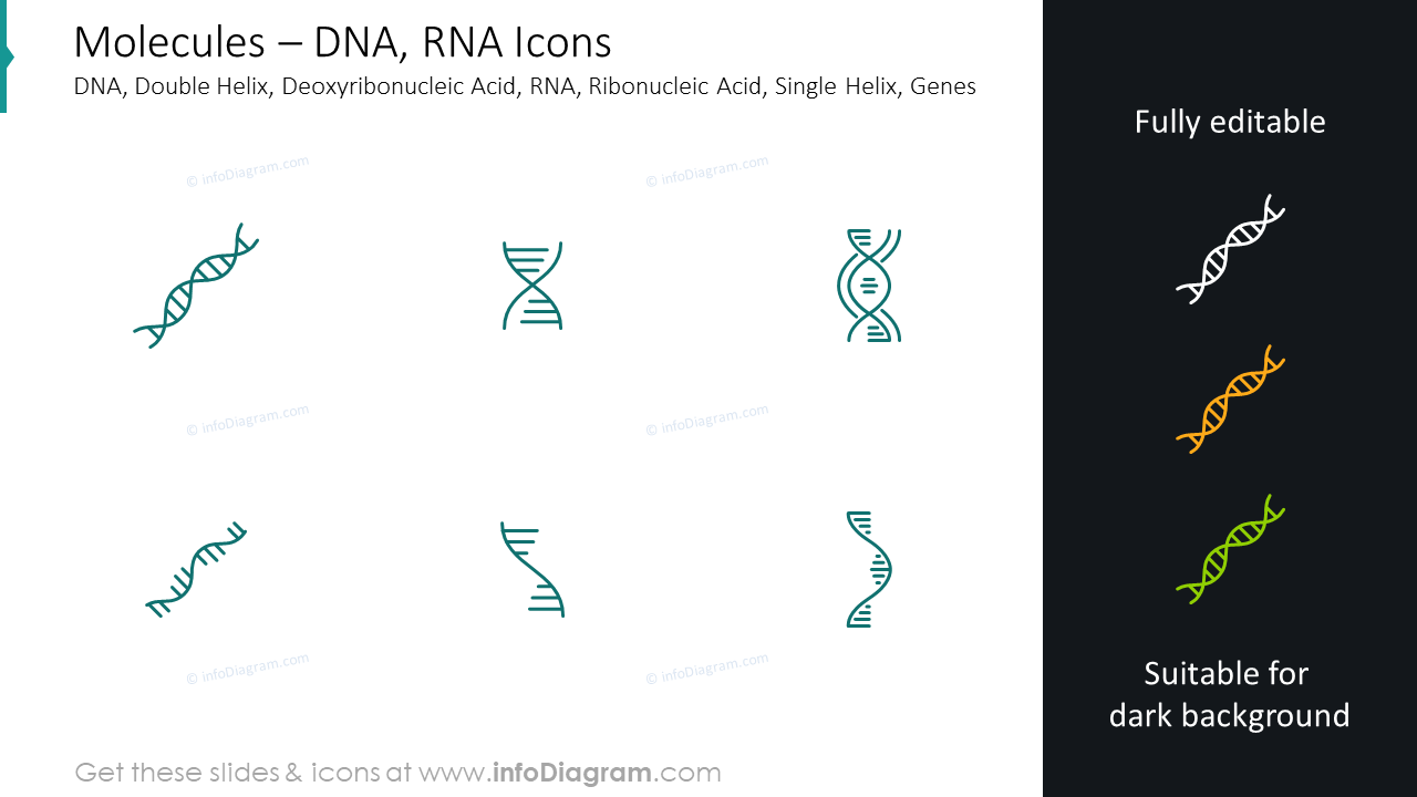 Molecules icons: DNA, RNA, double helix