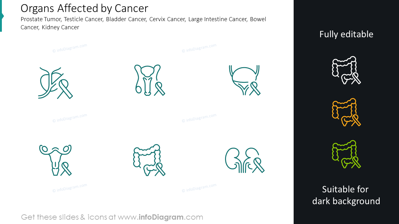 Organs affected by cancer icons: prostate tumor, testicle cancer