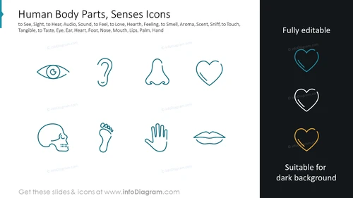 Human Body Parts, Senses Icons