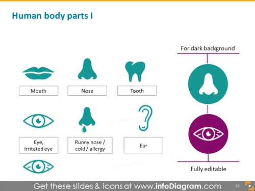 Human organs: mouth, nose, tooth, eye, nose