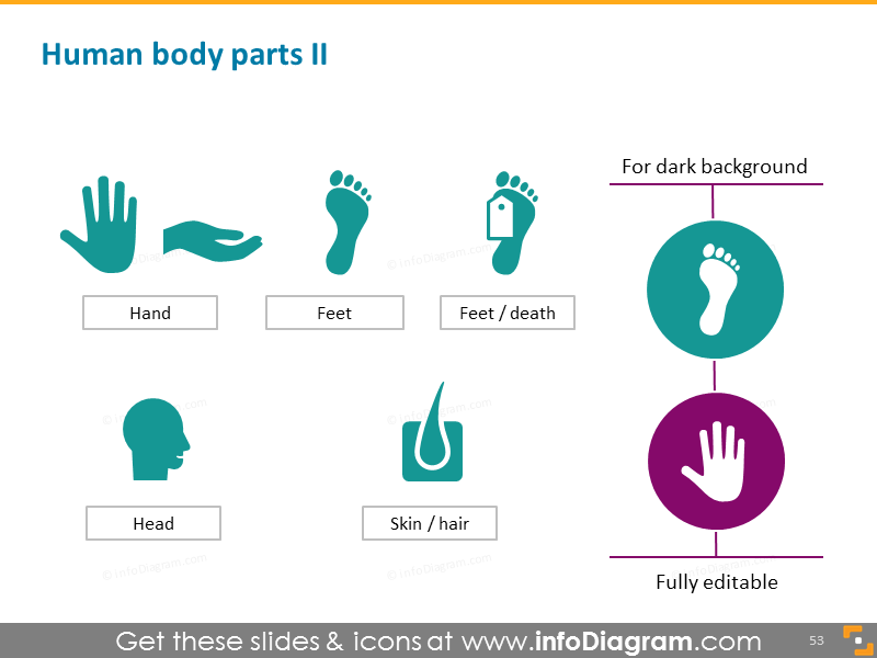 Human body parts: hand, feet, brain, skin