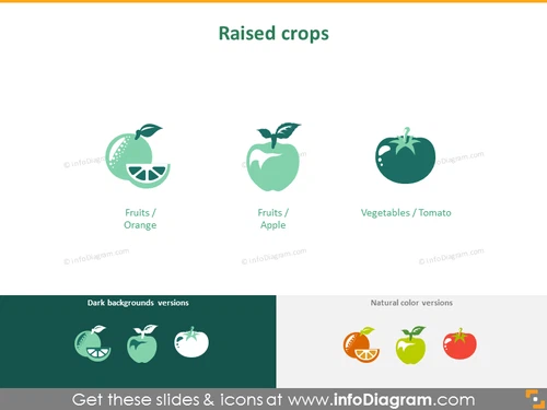 Fruits and vegetables: raised crops